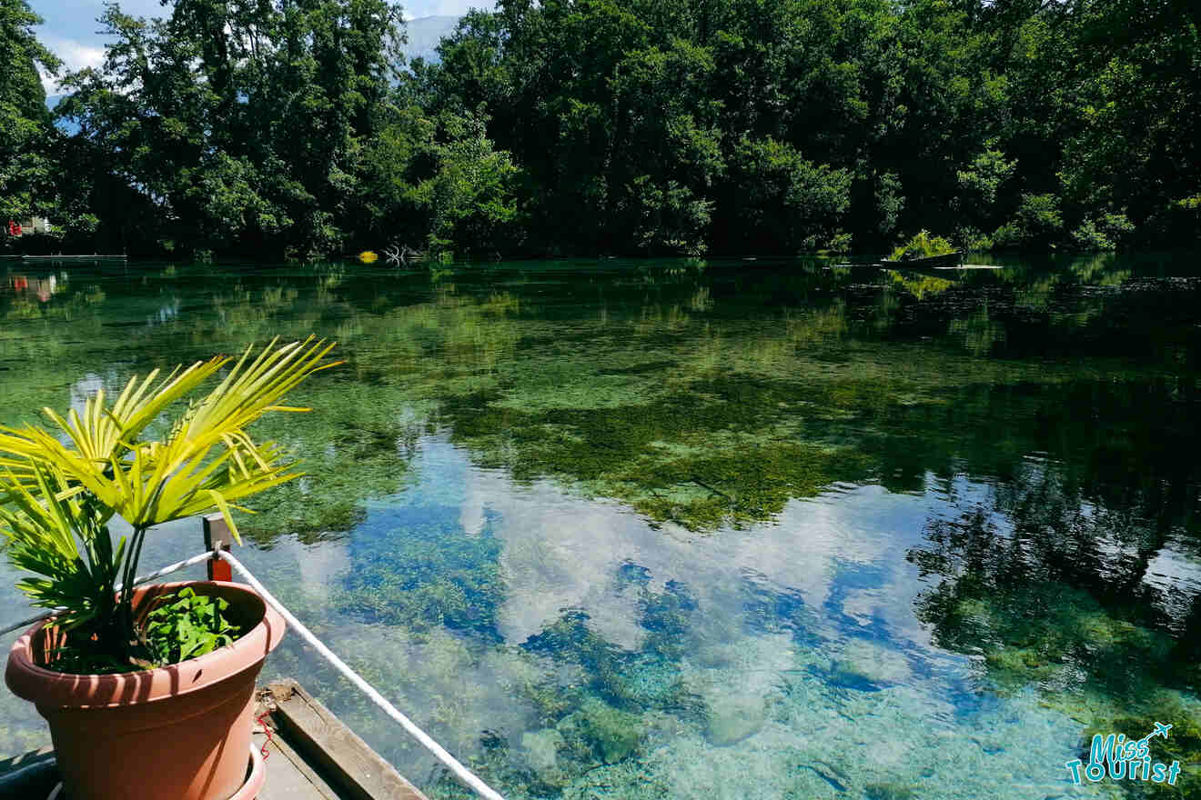 view of a crystal clear river water