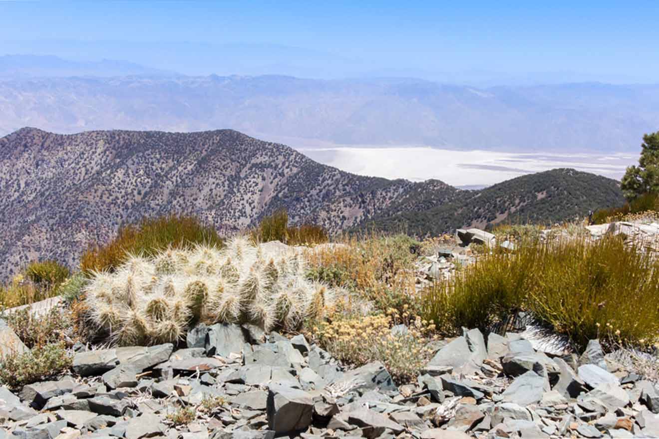 The view from the top of a mountain overlooking a desert.