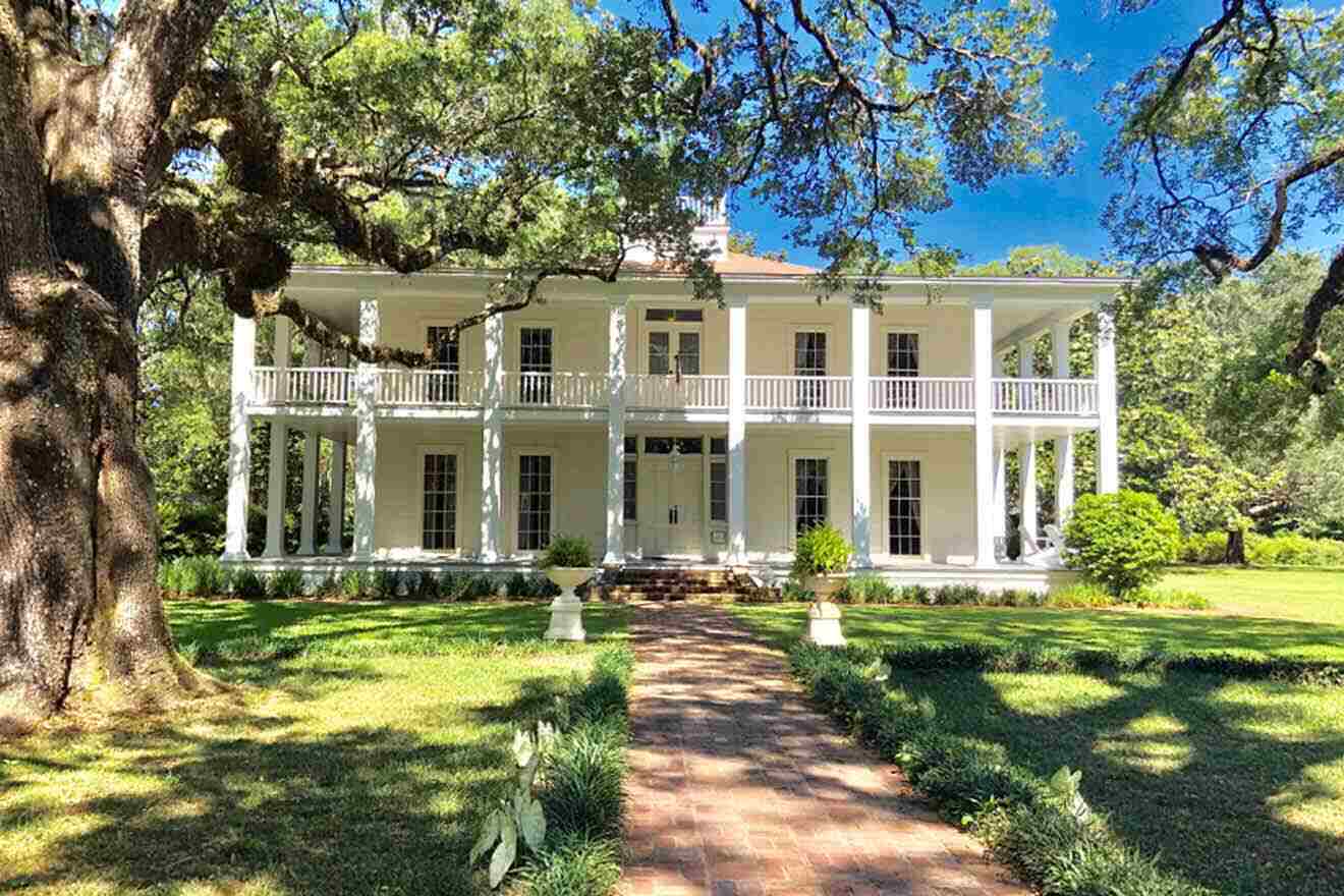 A white house with a large tree in front of it.