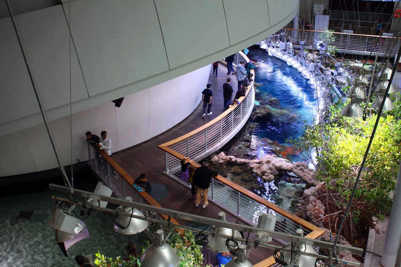 A large indoor lagoon with people walking around it.