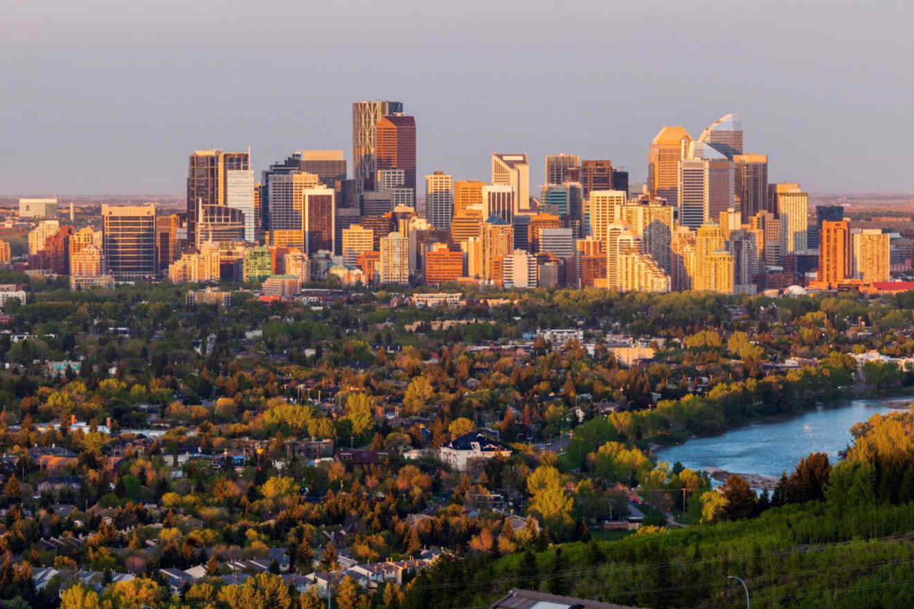 A city skyline with trees and a river in the background.