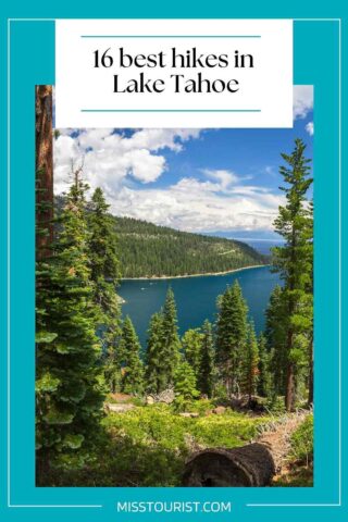 view of a lake surrounded by trees