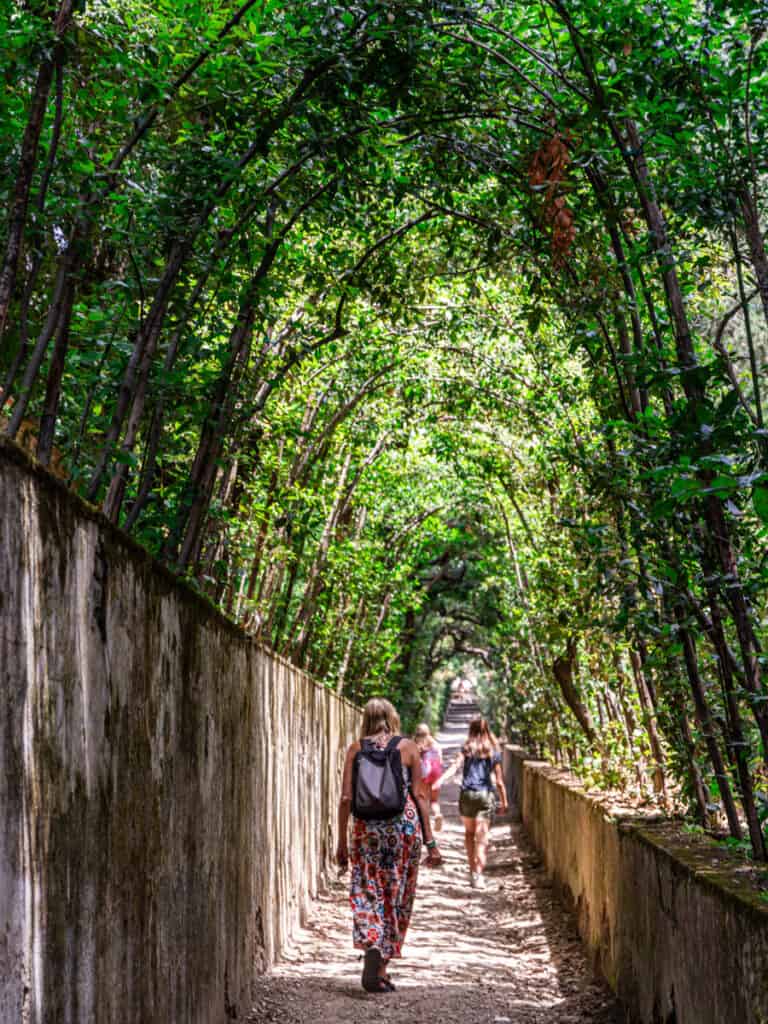 walking through a tunnel of trees