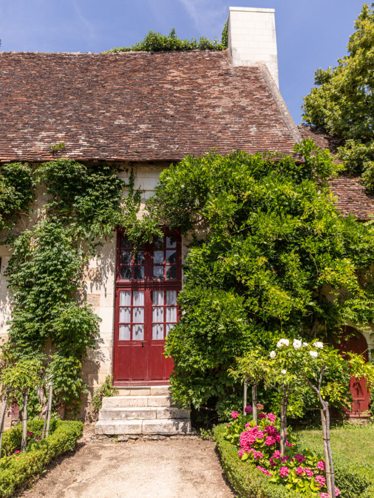 cottage covered in bushes