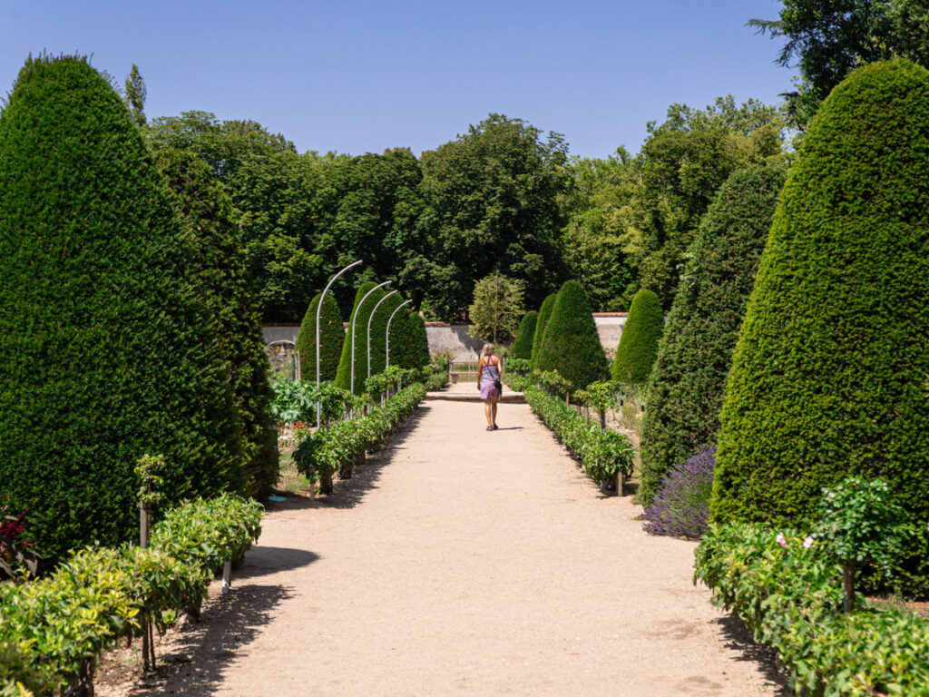 woman walking along a hedged pathway