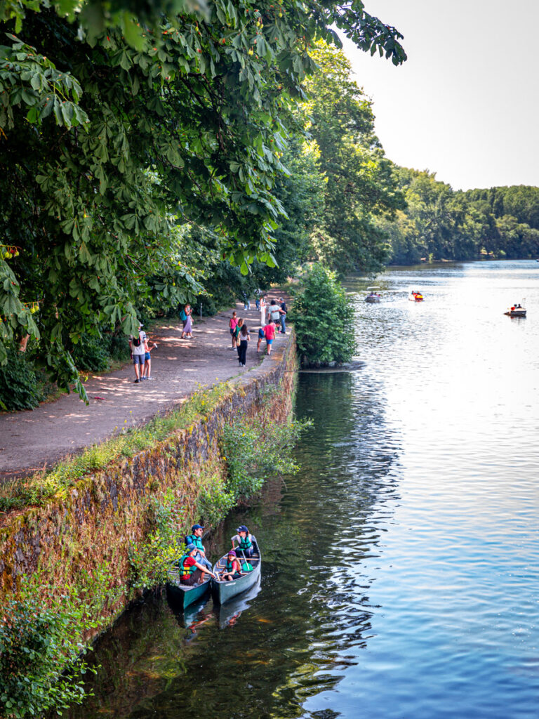 tree lined path beside river full of kayaks