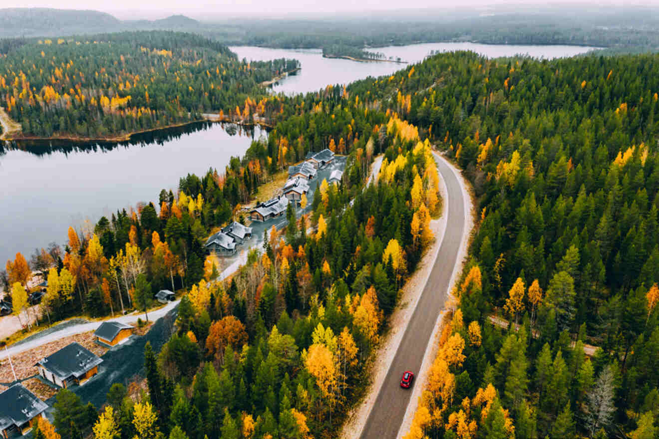 Aerial view of a road in a forest near a lake.