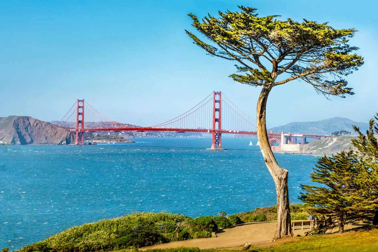 view over San francisco golden gate bridge from the lands end trail