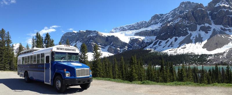 blue school bus beside mountain on denali highway