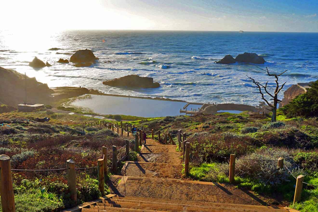 Stairs surrounded by plants leading up to the ocean