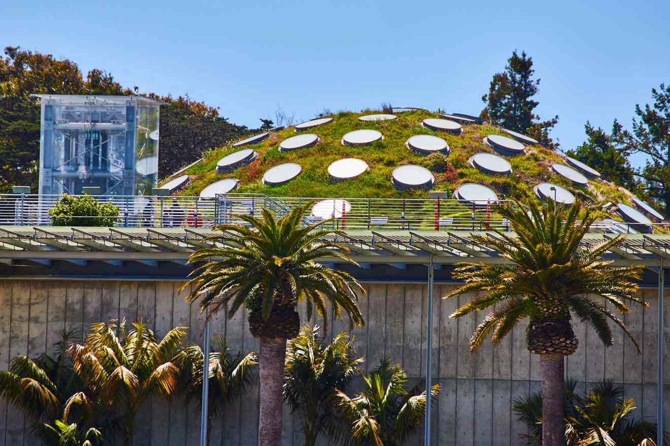 A green dome on top of a building with palm trees.