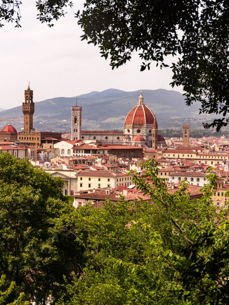 view of florence duomo dome between the trees