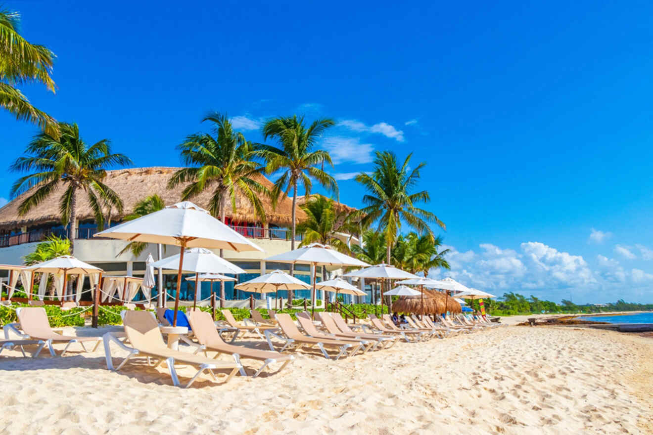 A beach with lounge chairs and palm trees.