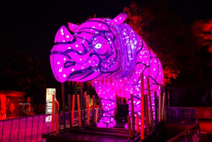 Rhino at Taronga Zoo in Sydney during the Vivid Sydney Festival