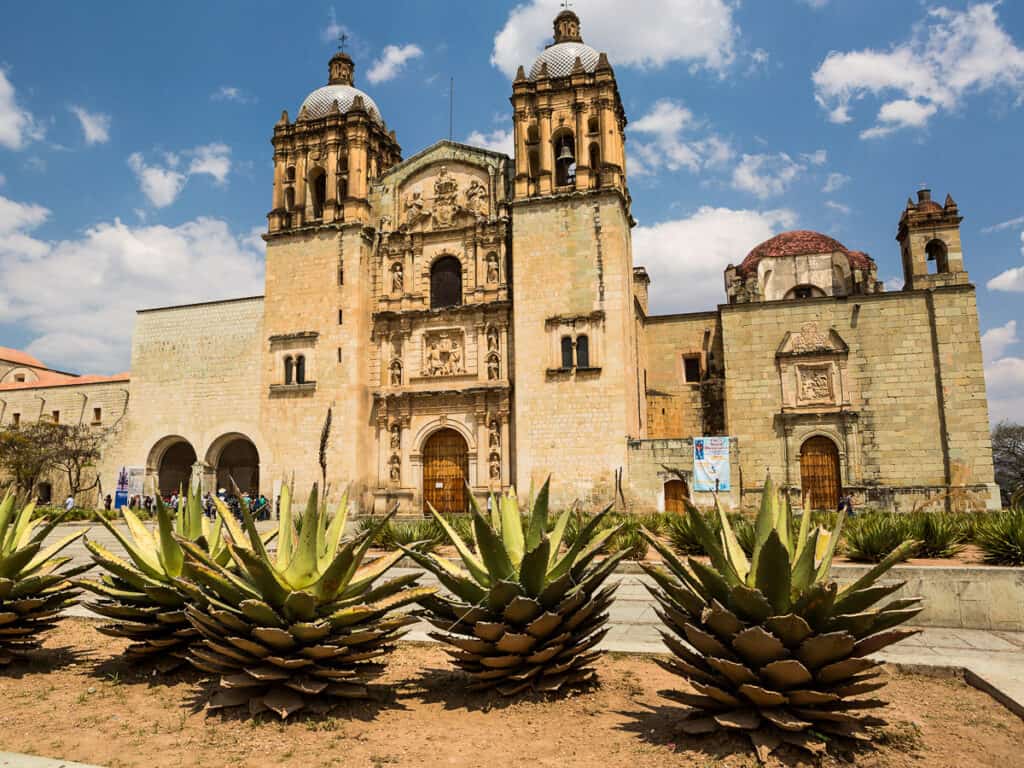 Santo Domingo cathedral behind agave palnts in Oaxaca, Mexico