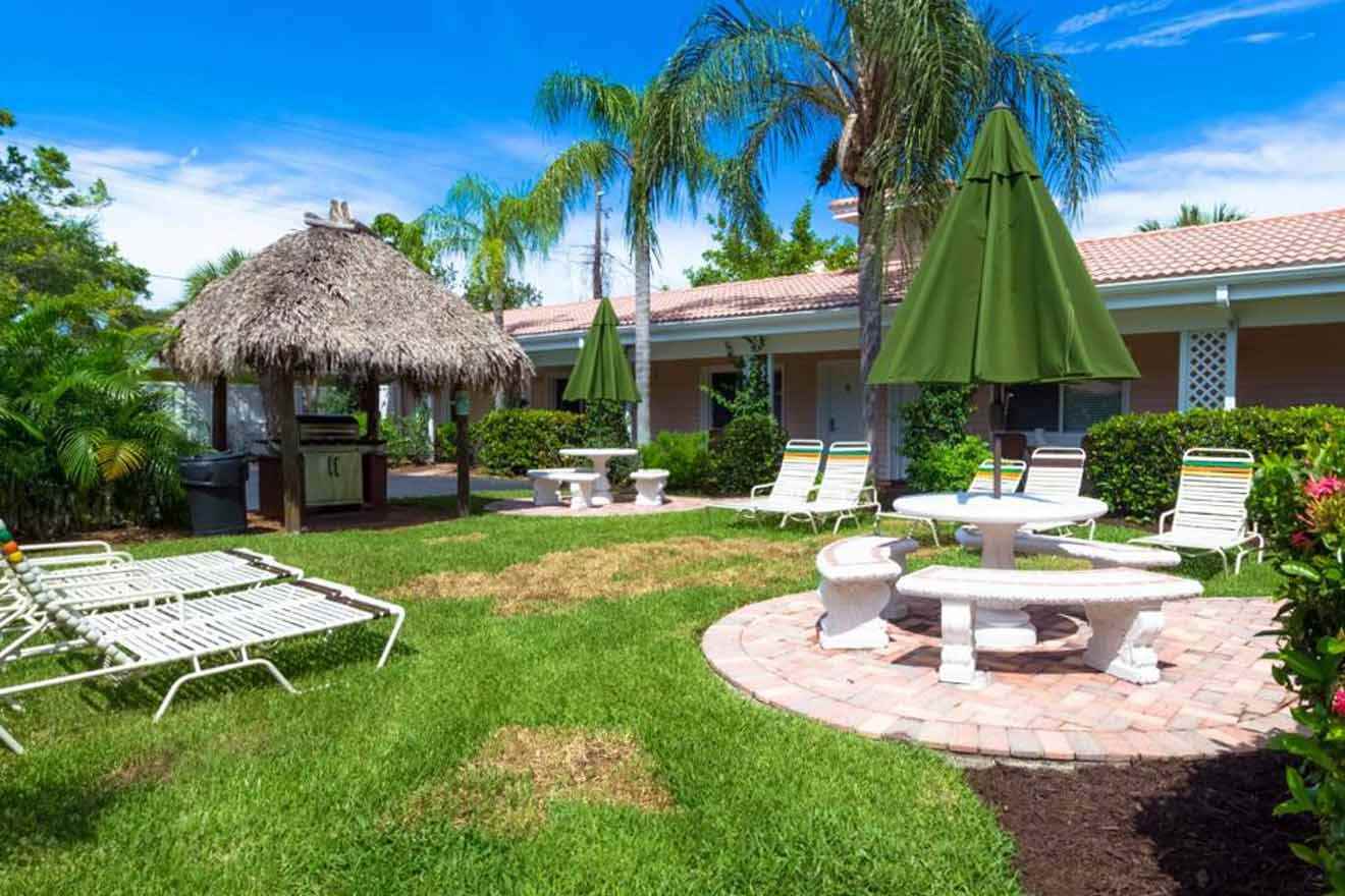 A lawn with lawn chairs, umbrellas and palm trees.