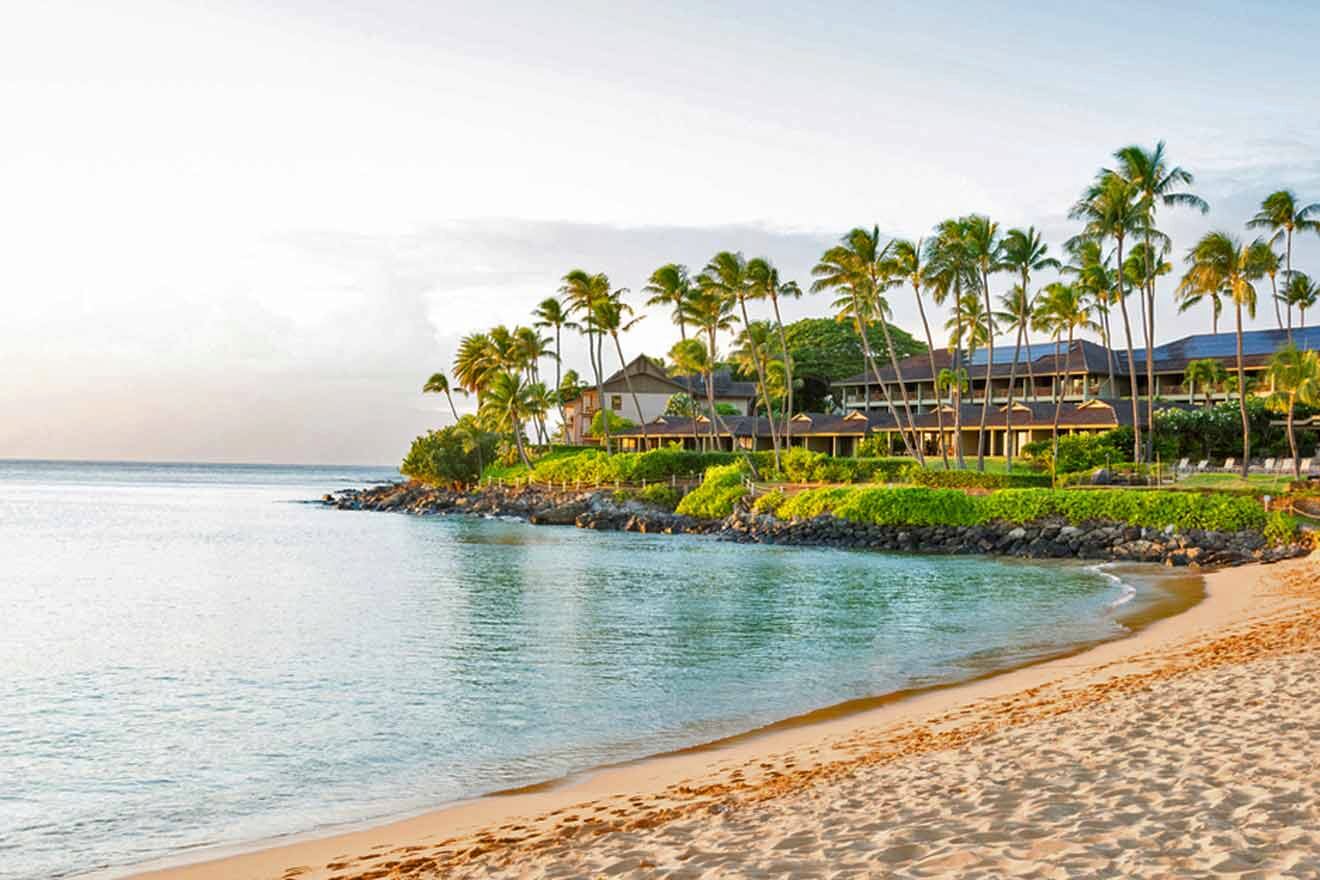 A resort on the beach with palm trees and palm trees.