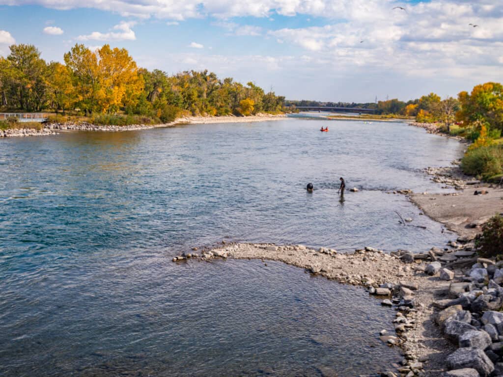 people fishing in the river