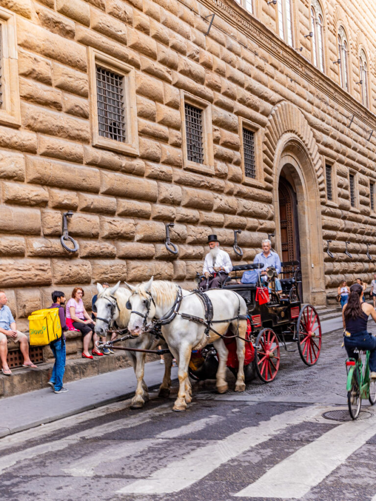 horse and carriage next to brick building on narrow street