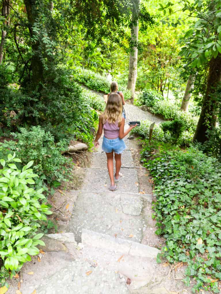 savannah walking down path in forest