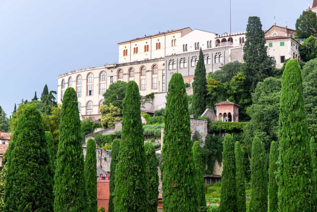 building on hill framed by tall hedge trees