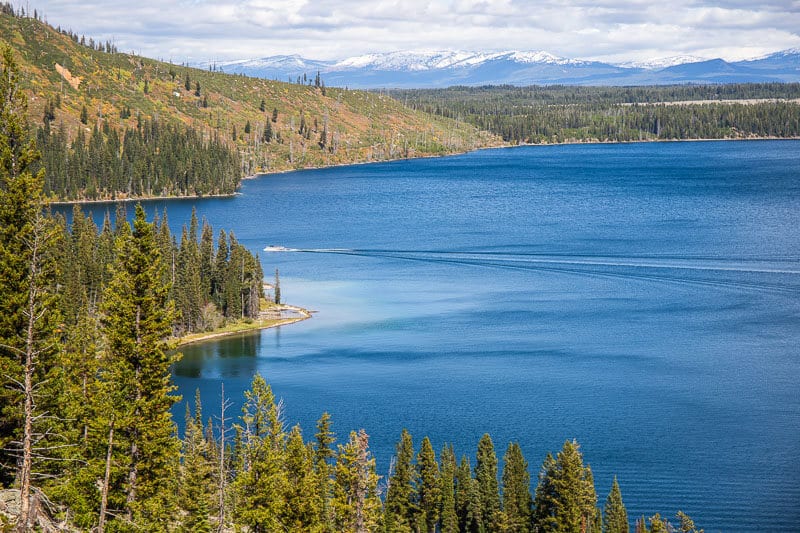 blue waters of Jenny Lake on the Jenny Lake Trail