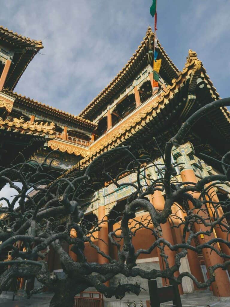 eleaborate roof longhe temple