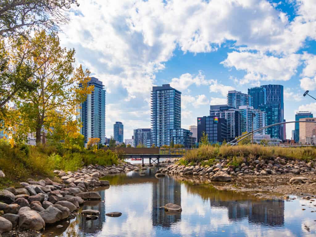 views of calgary skyline with river in front 