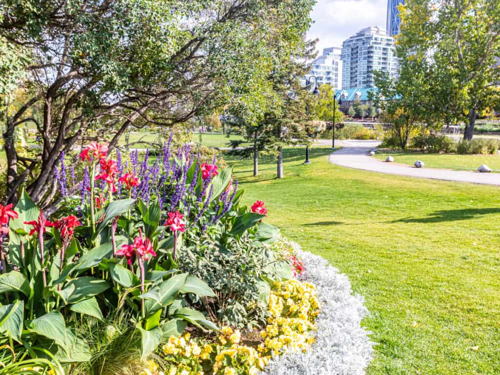 flowering gardens, green space and buildings in the background