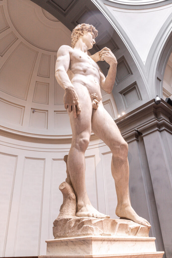 side view of statute of david