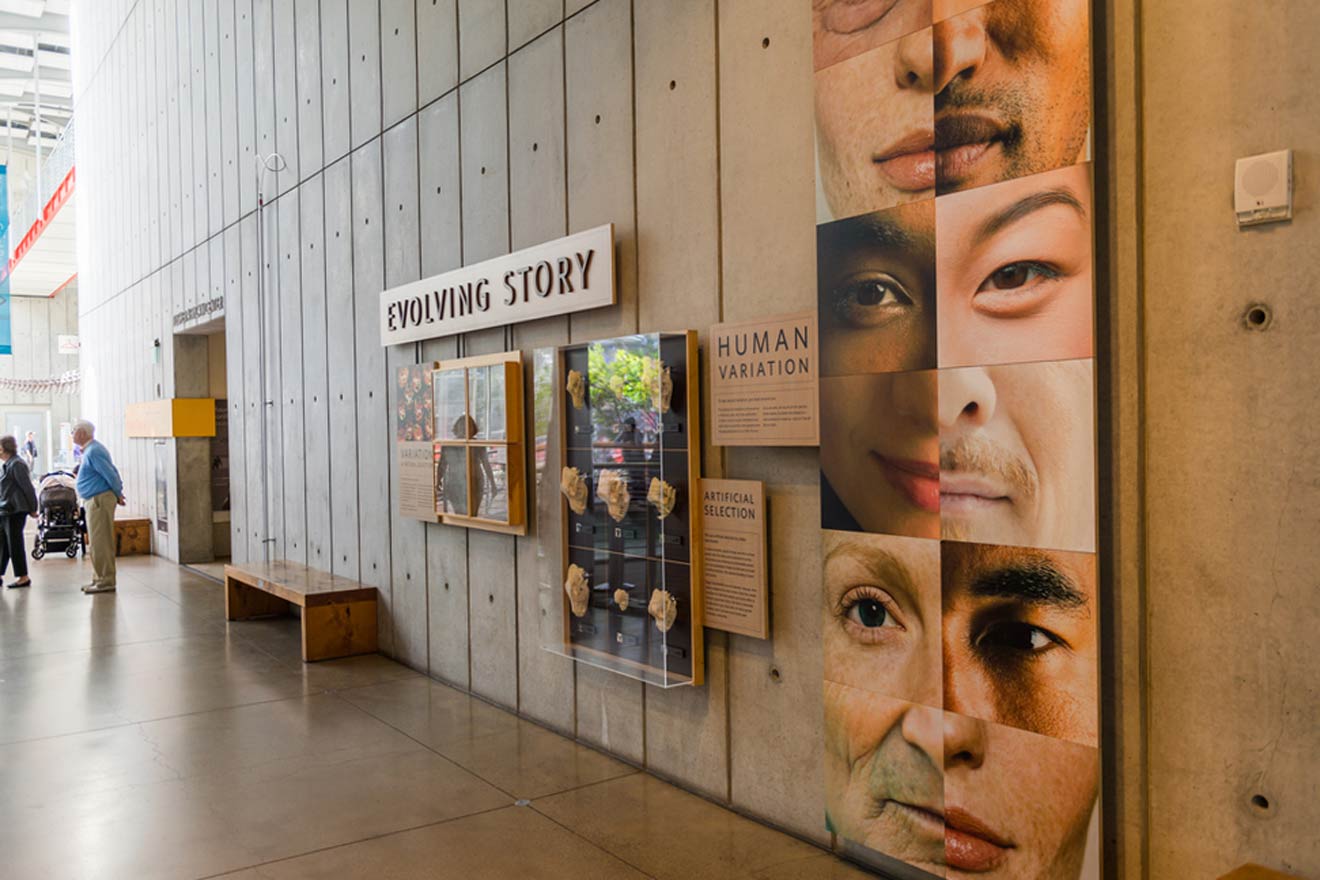 A group of people walking through a museum with posters on the wall.