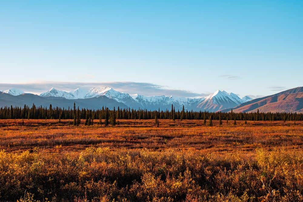 soft red colors of grassy plains and snow capped moutnains at sunrise