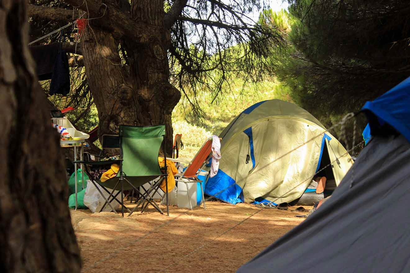 A group of tents in a wooded area.