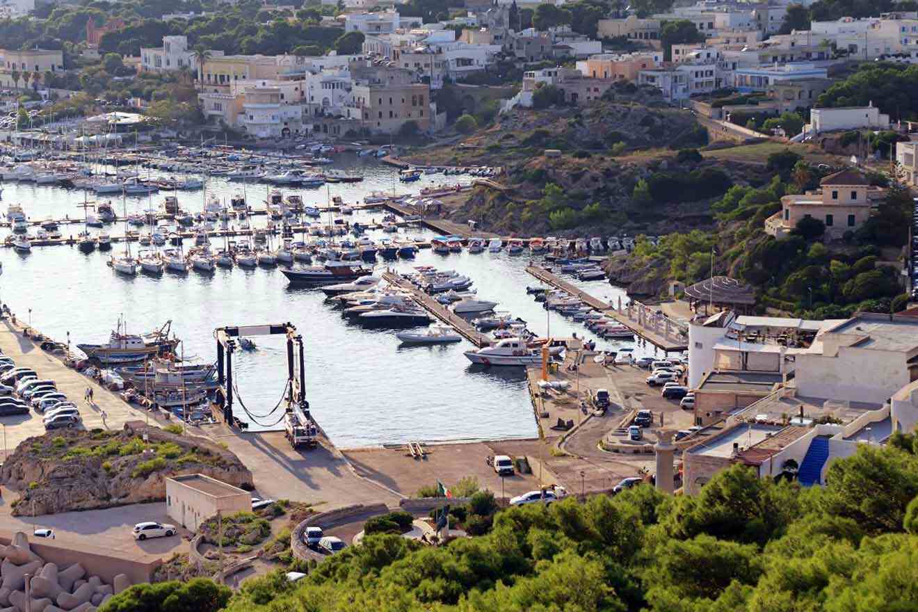 An aerial view of a marina with boats docked in it.