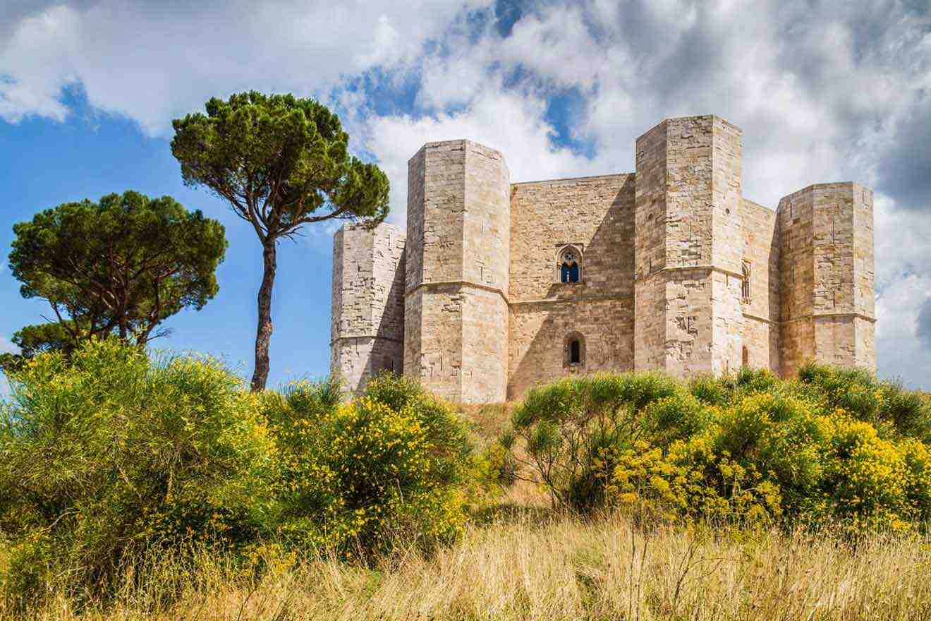 A castle sitting on top of a hill with trees in the background.