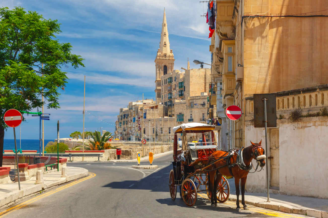 a horse and carriage on the street in a city