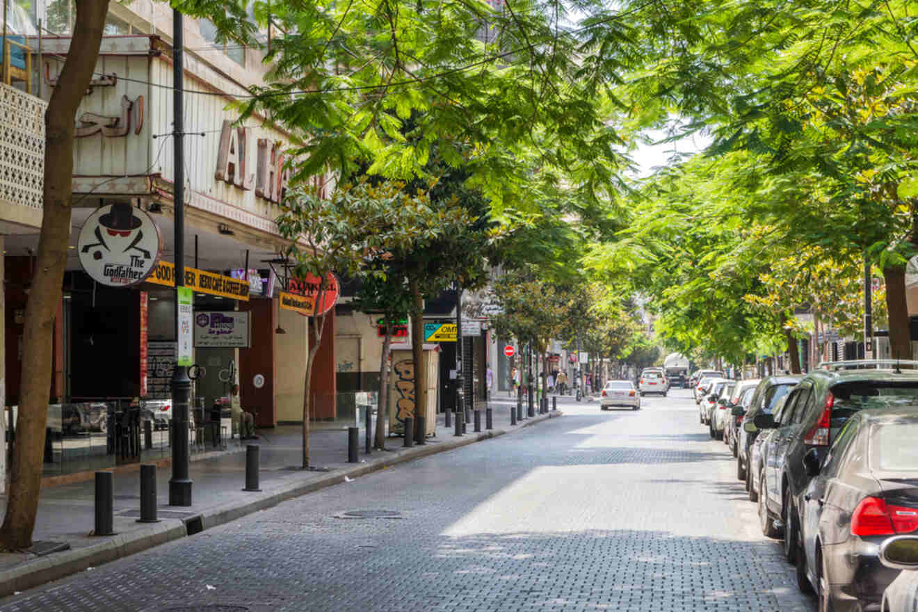 a city street lined with trees and shops