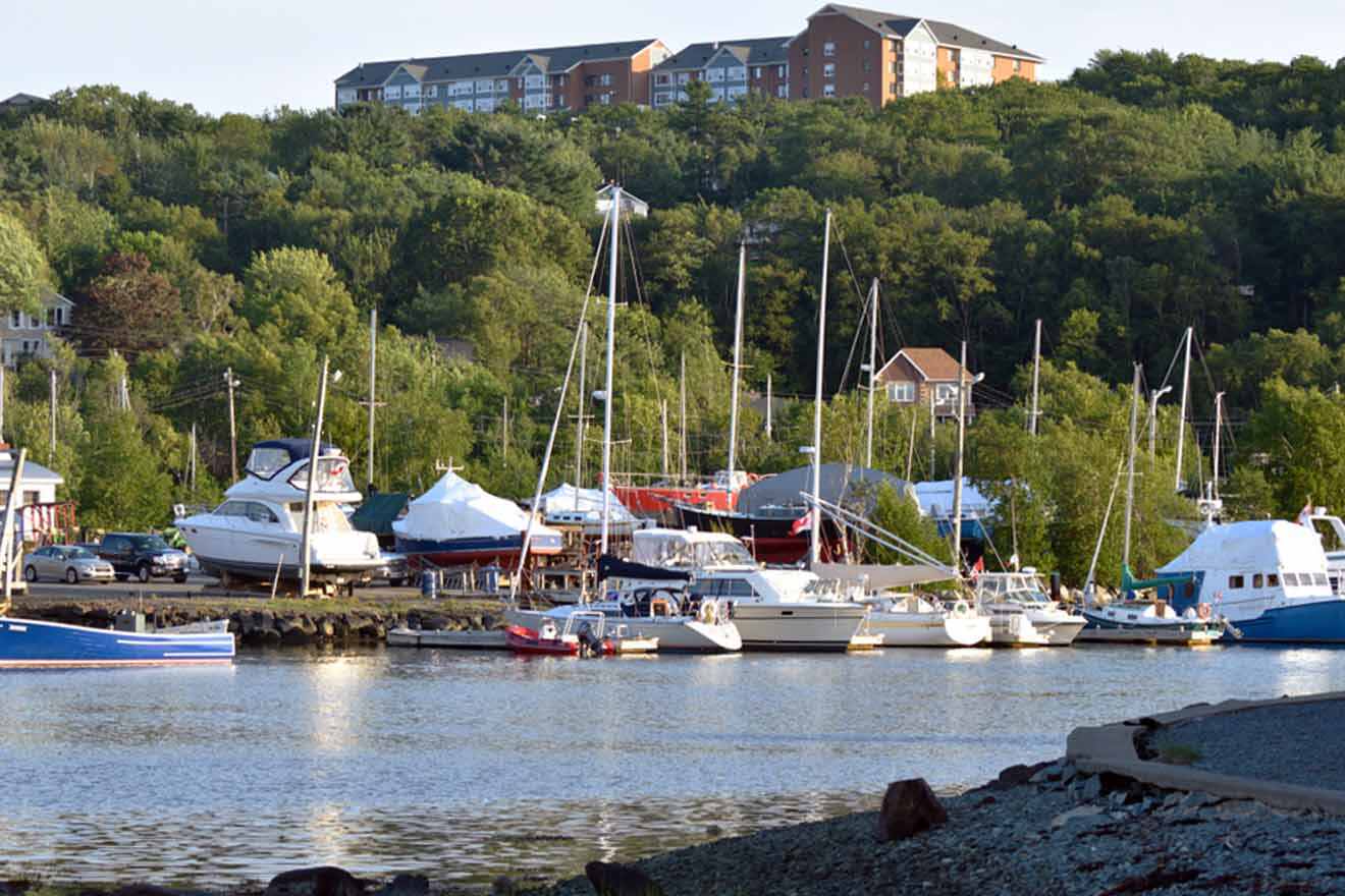 A group of boats docked in a marina.