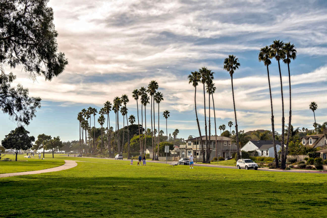 A grassy field with palm trees in the background.