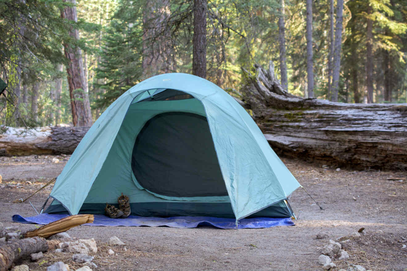 A tent is set up in a wooded area.