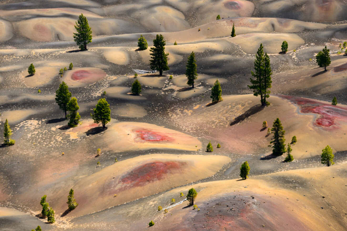 An aerial view of a sand dune