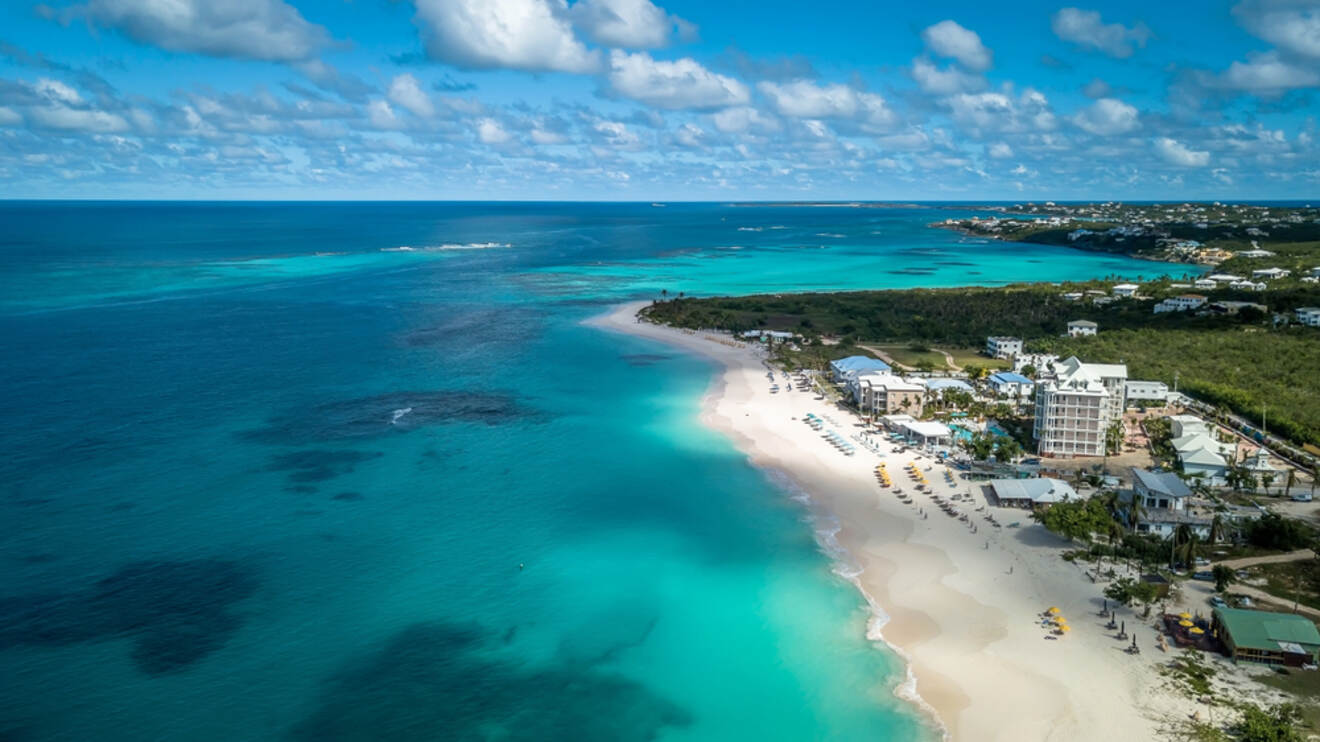 Aerial view of a beach and ocean