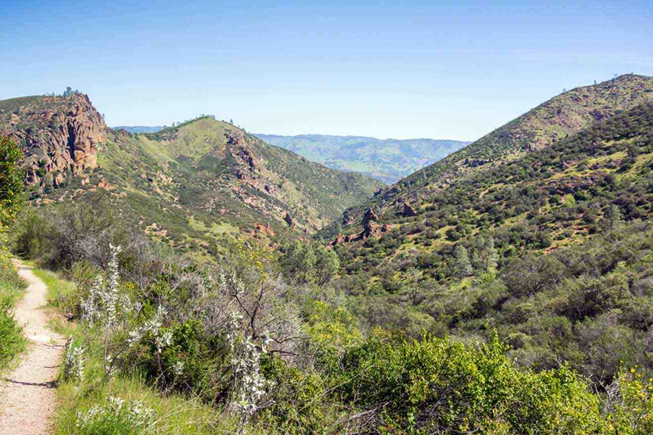 A dirt trail in the mountains.