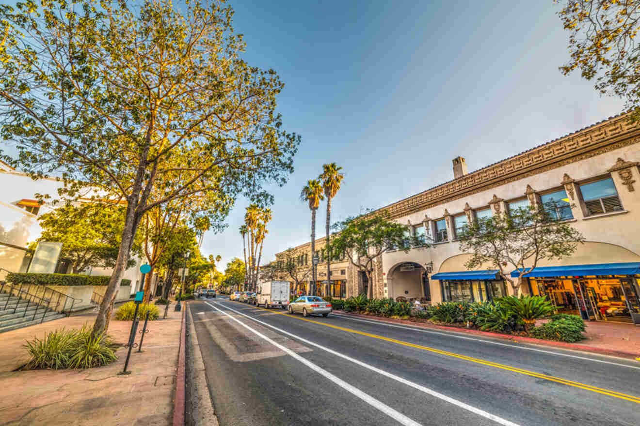 A street lined with palm trees and parked cars.