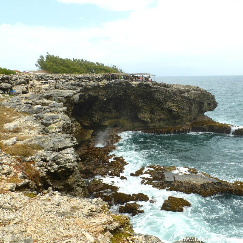 Animal Flower Cave entrance