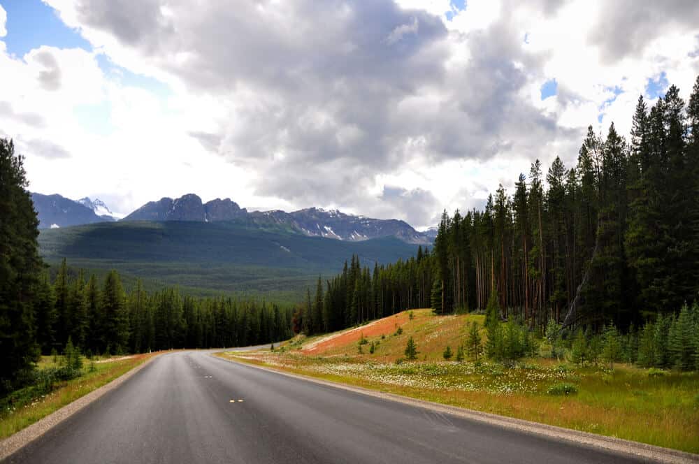 Bow Valley parkway