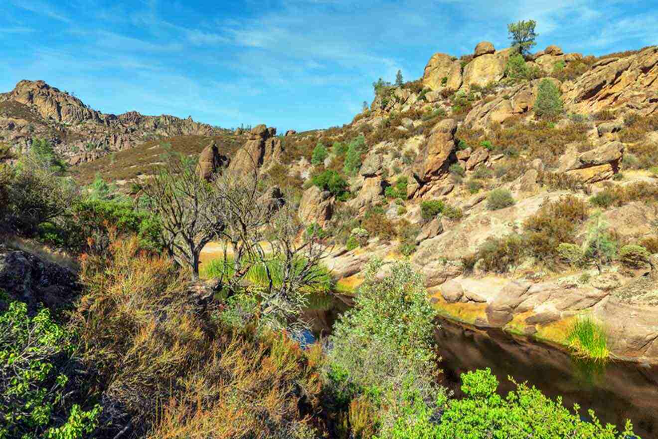 A river surrounded by rocks and trees.