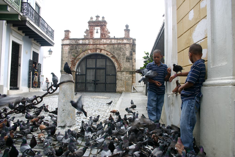 Doves in front of Chapel of Christ the Savior