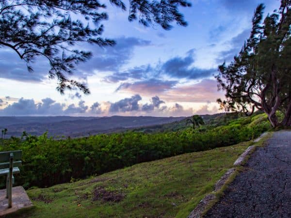 Farley Hill National Park nungle views