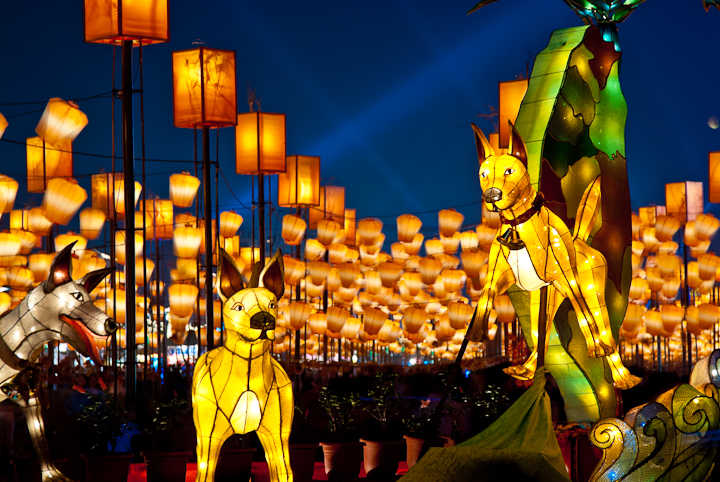 lanterns in the street